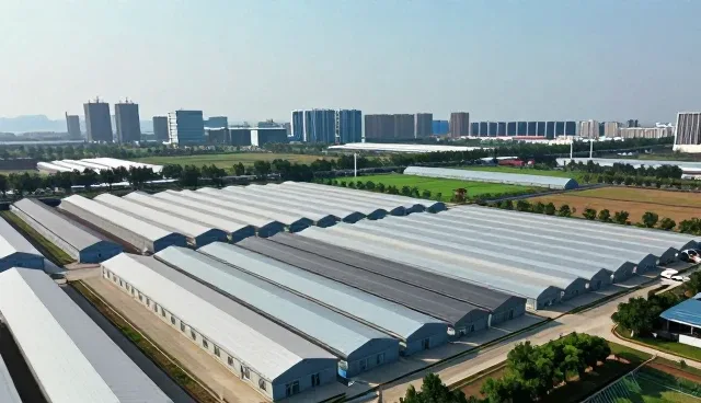 软件使用中常见问题及高效处理策略